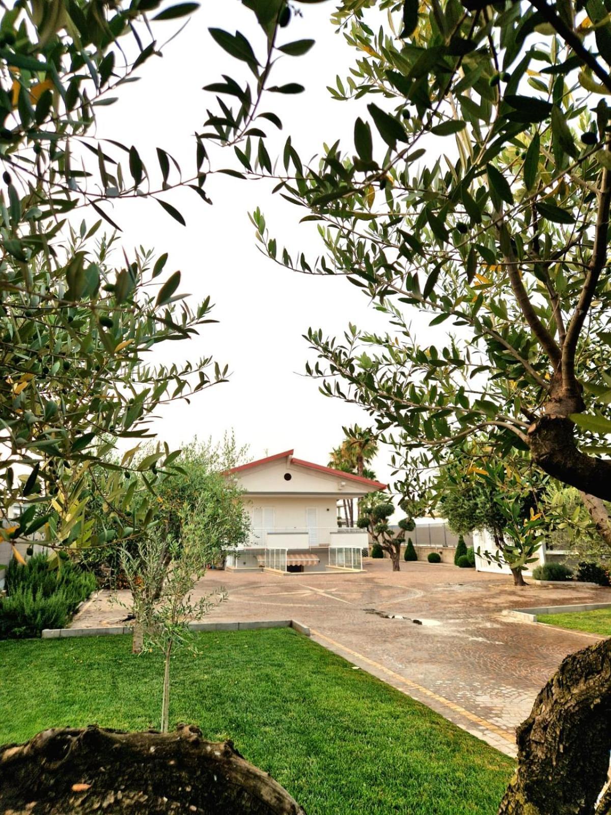 Corte D'Aniello Scafati Ngoại thất bức ảnh